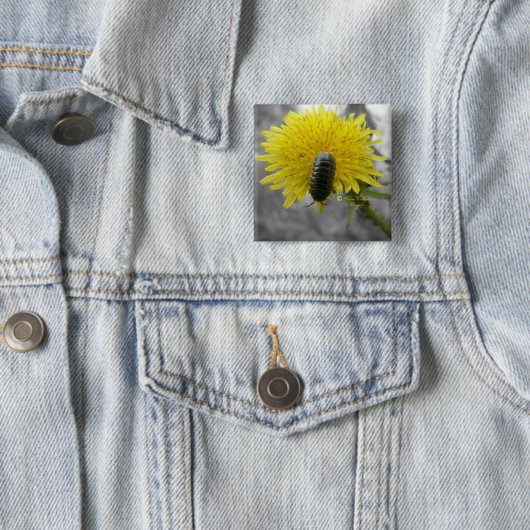 Schön beängstigend: Rolie Polie Blume Button (Beispiel)