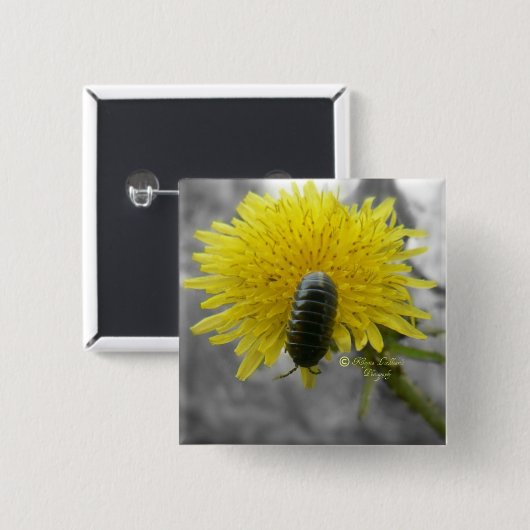 Schön beängstigend: Rolie Polie Blume Button (Vorne & Hinten)