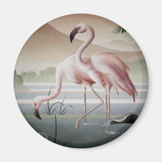 Schön bei rosa Flamingo Magnet (Vorne)