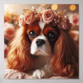 schön Cavalier King Charles Spaniel Poster (Vorne)