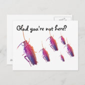 Schön, dass du nicht hier bist? Farbige Kakerlaken Postkarte (Vorne/Hinten)