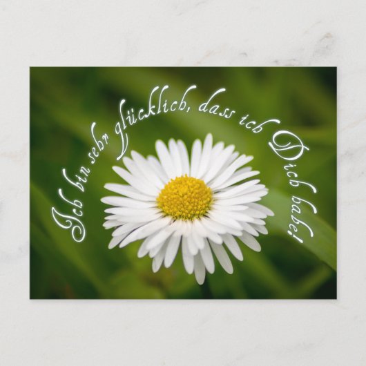 Schön, dass ich Dich habe! Postkarte (Vorderseite)