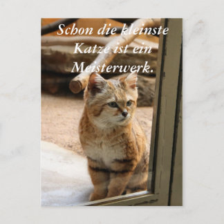 Schon die Katze ist ei... Postkarte
