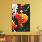 Schön Gelbes Schwefelschelf Fungus Canvas drucken Leinwanddruck (Insitu (Wohnzimmer))