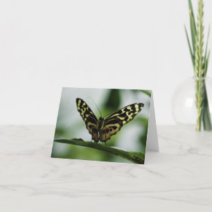 Schön, Ihre Karte zu erfüllen