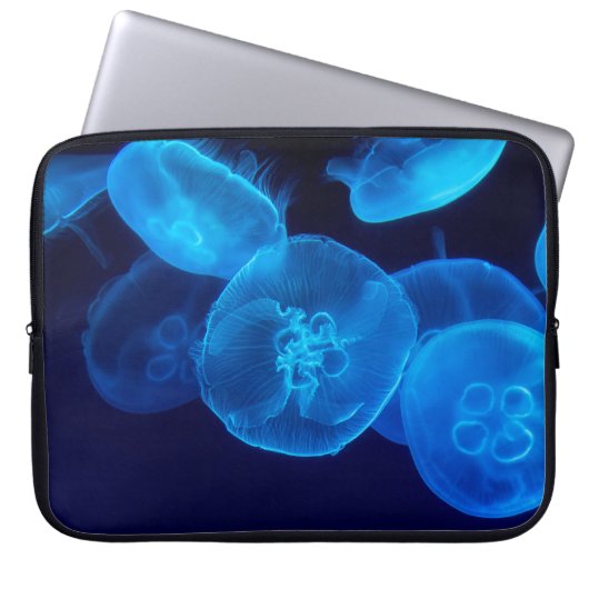 SCHÖN JELLYFISH LAPTOPSCHUTZHÜLLE (Vorderseite)