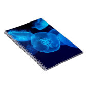 SCHÖN JELLYFISH NOTIZBLOCK (Rechte Seite)