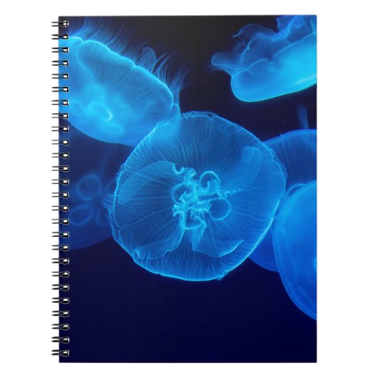 SCHÖN JELLYFISH NOTIZBLOCK (Vorderseite)