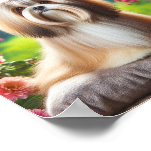 schön Lhasa Apso Poster (Ecke)