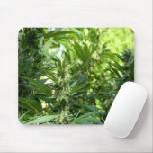 Schön...... Mousepad (Mit Mouse)