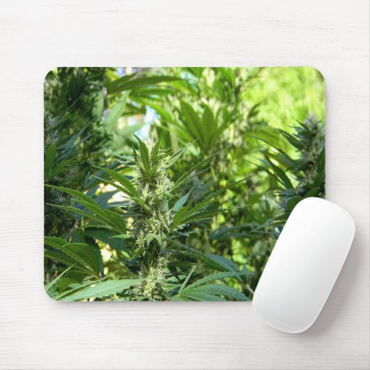 Schön...... Mousepad (Mit Mouse)