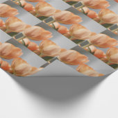 Schön, Orangecreme Tulpen, Geschenkverpackung Geschenkpapier (Ecke)