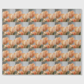 Schön, Orangecreme Tulpen, Geschenkverpackung Geschenkpapier (Flach)