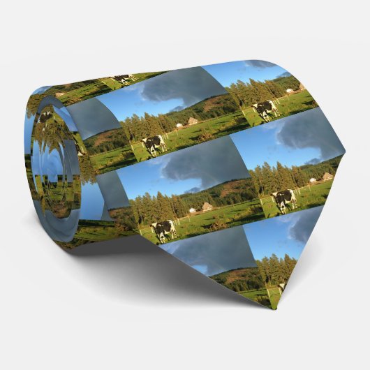 Schön, Rinder, Scheune Krawatte (Gerollt)