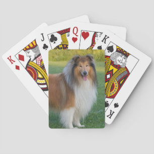 Schön roter Collie Hund Spielkarten