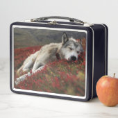 Schön schlafende Wolf Metal Lunch Box (Beispiel)