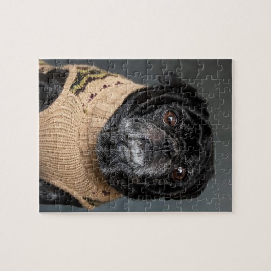 Schön schwarzer Mops im Pullover Puzzle (Horizontal)