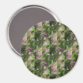 Schön süße Erbsen.... Magnet (Vorderseite/Rückseite)