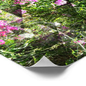 Schön süße Erbsen.... Poster (Ecke)