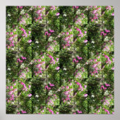 Schön süße Erbsen.... Poster (Vorne)