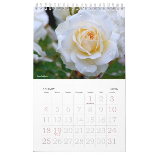 Schöneタプ Rose レ Calendar ダ Kalender (Jan 2026)