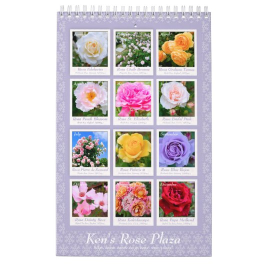 Schöneタプ Rose レ Calendar ダ Kalender (Rückseite)