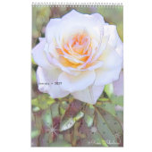 SchöneレダRoseArt und Weise Kalender (Jan 2027)