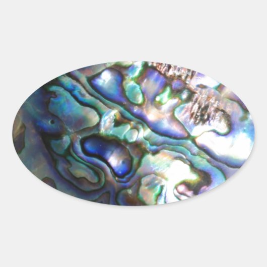 Schöne abalone Muschel Ovaler Aufkleber (Vorderseite)