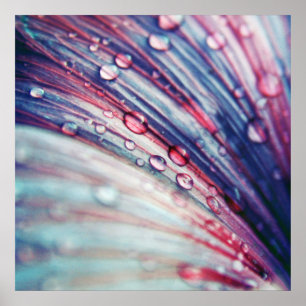 Schöne, Abstrakte, rosa blaue Blume fällt ab Poster