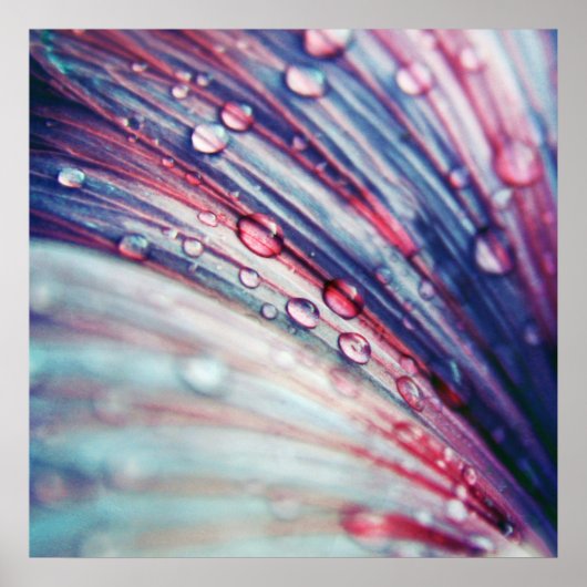 Schöne, Abstrakte, rosa blaue Blume fällt ab Poster (Vorne)