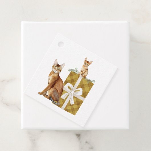 Schöne abyssinian Katzen auf einem Paket Geschenke Geschenkanhänger (Beispiel)