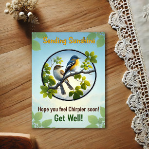 Schöne Acadian Flycatchers Gute Besserung Postkart Postkarte