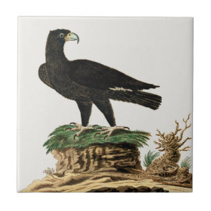 Schöne Adlervögel Vintage Malerei Fliese