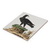 Schöne Adlervögel Vintage Malerei Fliese (Seite)