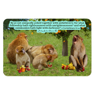 Schöne Affenschrift 2 Korinther 6:14 Magnet