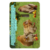 Schöne Affenschrift 2 Korinther 6:14 Magnet (Vertikal)