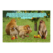 Schöne Affenschrift 2 Korinther 6:14