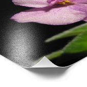 Schöne afrikanische Violettkunst Fotodruck (Ecke)