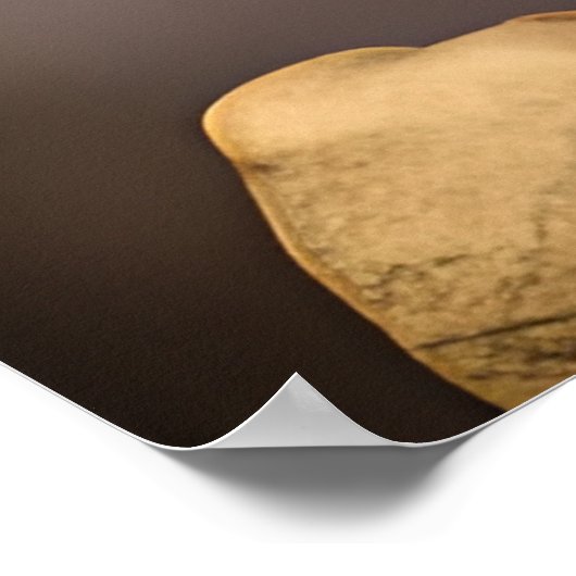 Schöne afroamerikanische Frau mit Blume Poster (Ecke)