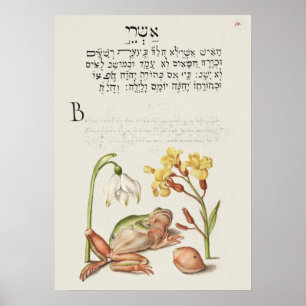 Schöne alte botanische Illustration Poster