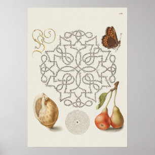 Schöne alte botanische Illustration Poster