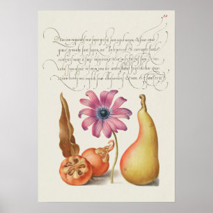 Schöne alte botanische Illustration Poster
