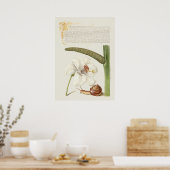Schöne alte botanische Illustration Poster (Küche)