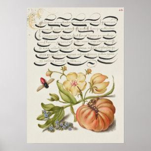 Schöne alte botanische Illustration Poster