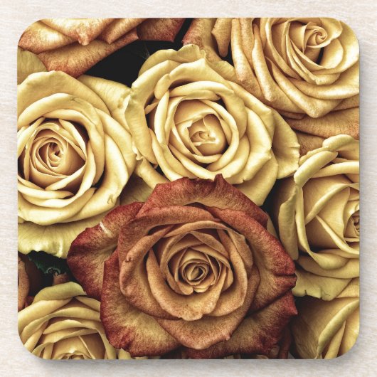 Schöne alte Rosen Untersetzer (Vorderseite)