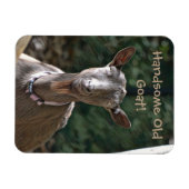 Schöne alte Ziege Magnet (Horizontal)