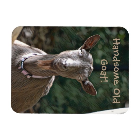 Schöne alte Ziege Magnet (Horizontal)