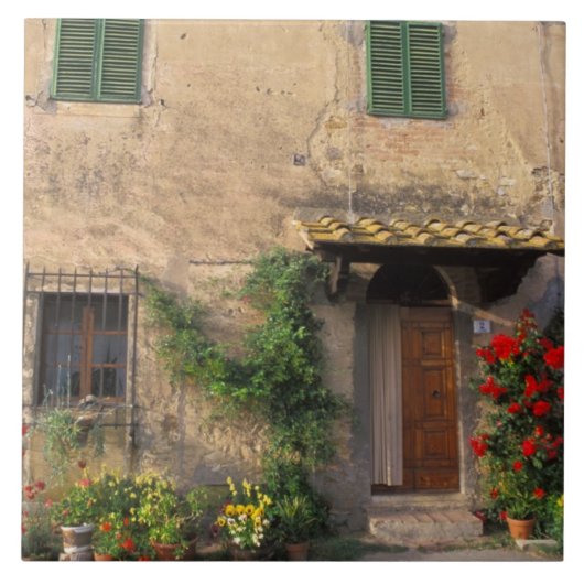 Schöne alte Zuhause mit Blume in San Gimignano Fliese (Vorderseite)