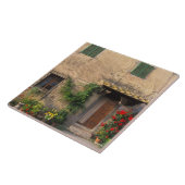 Schöne alte Zuhause mit Blume in San Gimignano Fliese (Seite)