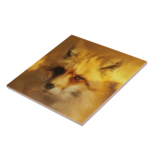 Schöne amerikanische Fox Art Tile Fliese (Seite)
